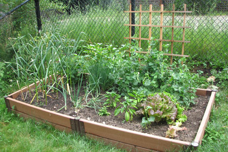 Garden  on Pm  Caring For The Planet   Organic Gardening   Sustainable Food